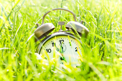 Alarm clock on green grass