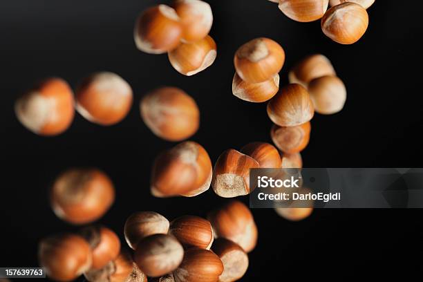 Cibo Frutta Nocciola - Fotografie stock e altre immagini di Nocciola - Nocciola, Sfondo nero, Noci