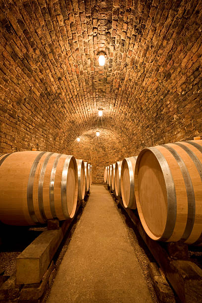 amplia bodega de vinos con bombines - winery wine cellar barrel fotografías e imágenes de stock
