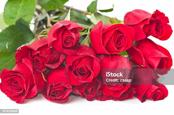 Foto de Ramo De Rosas Vermelhas Longas e mais fotos de stock de Doze Rosas - Doze Rosas, Dúzia, Bouquet