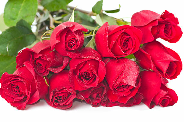 красные розы на длинном стебле - dozen roses rose flower arrangement red стоковые фото и изображения