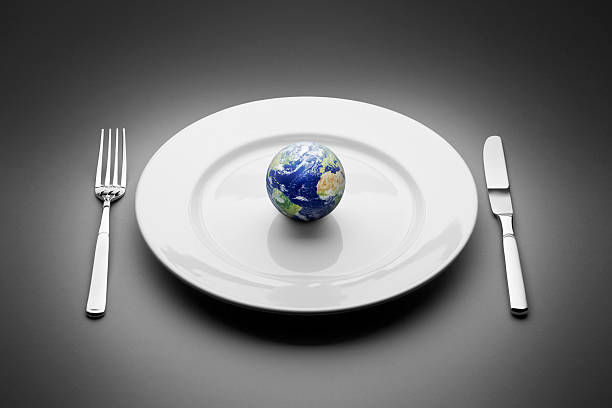 terra servito su un piatto. cibo ristorante mondo globo pianeta - divided plate foto e immagini stock