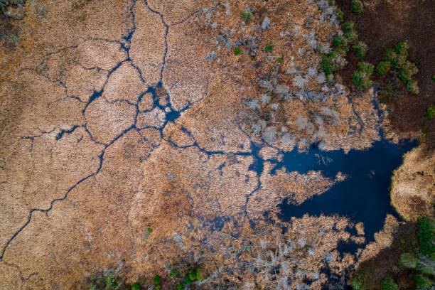 Free picture: aerial, marsh, swamp, landscape