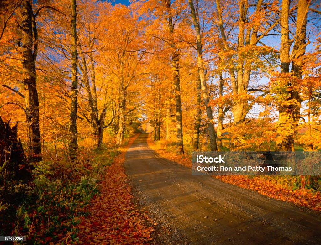 País Dirt Road com a folhagem do outono em Vermont - Foto de stock de Appalachia royalty-free