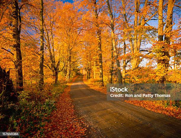 País Estrada Em Terra Batida Com Folhagem Outono De Vermont - Fotografias de stock e mais imagens de Ao Ar Livre