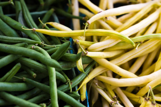 Green beans and carrots in the Jean Talon public market.