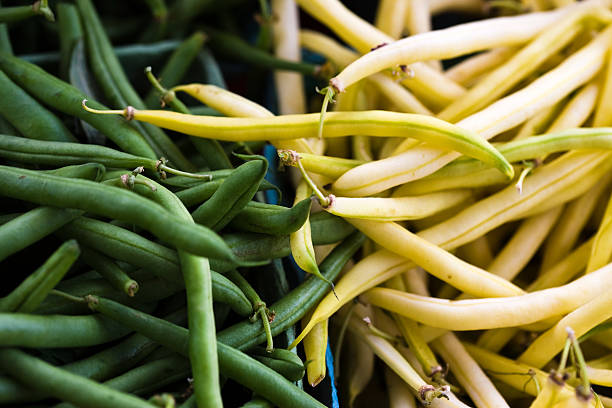 Green and Yellow Wax Beans stock photo
