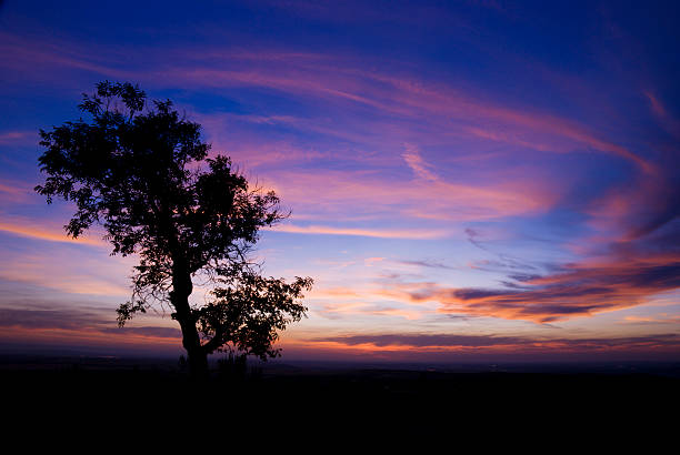 아름다운 해질녘까지 - idaho boise sunset scenics 뉴스 사진 이미지