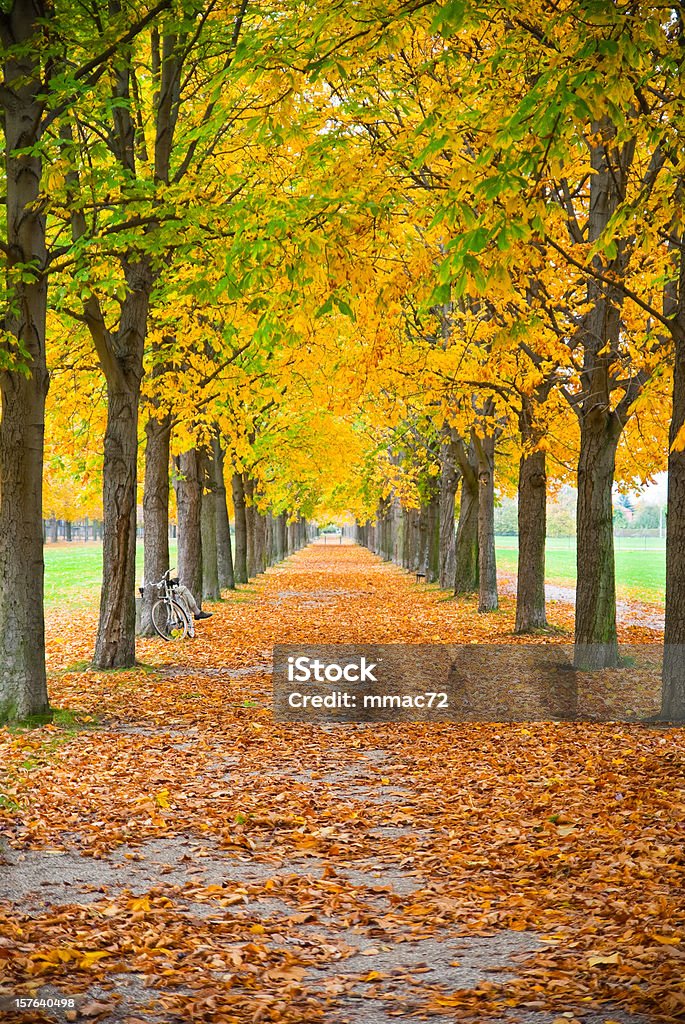 Bike in autumn Bike in autumn scene. The horizontal version of this photo can be found in the Vetta Collection. Follow the link below Adult Stock Photo