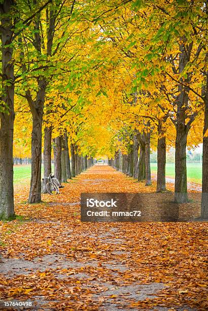 Bike In Autumn Stock Photo - Download Image Now - Adult, Adults Only, Autumn