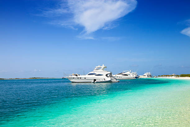istock Luxury Yachts anchored in a tropical exotic island beach 157640537