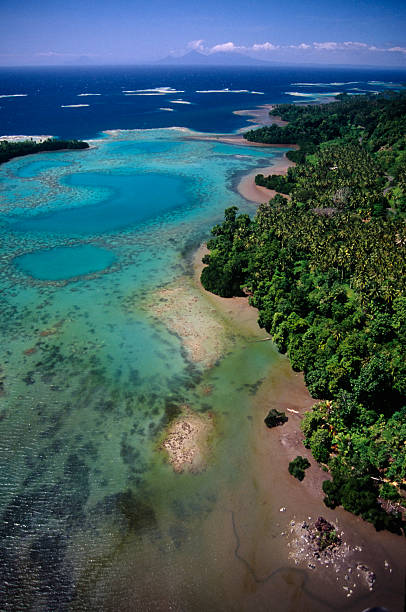 wybrzeże koralowe - papua new guinea zdjęcia i obrazy z banku zdjęć