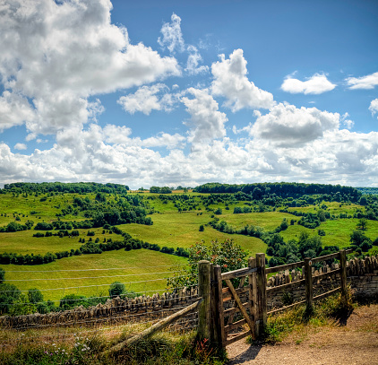 English countryside valleys and hills far into the distance, England's countryside, a journey through timeless old trees and picturesque landscapes.