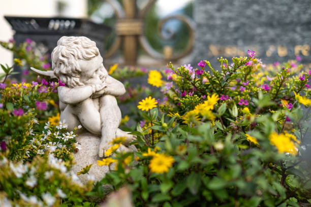 A water fountain surrounded by vibrant flowers and greenery in downtown Victoria, Vancouver Island, captured in warm evening light.