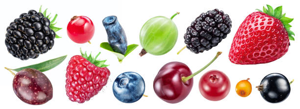 istock Collection of different berries. File contains clipping paths. 1576408418