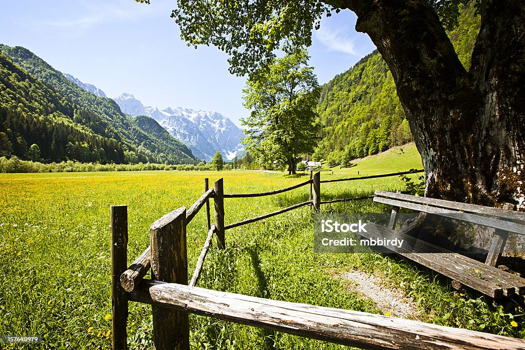 Idyllic Alps valley Logarska dolina, Slovenia Idyllic Alps valley Logarska dolina, Slovenia. Agricultural Field Stock Photo