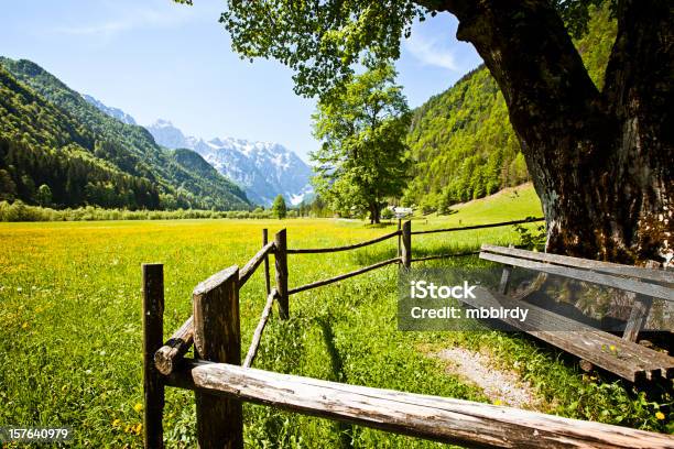 Idyllic Alps Valley Logarska Dolina Slovenia Stock Photo - Download Image Now - Agricultural Field, Beauty, Beauty In Nature