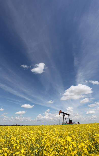 istock Oil Industry in Alberta with Pumpjack 157640999