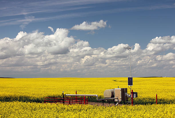 Natural Gas Wellhead in the Midwest