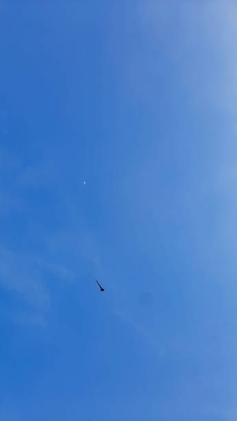 istock calming blue color of sky 1576410658