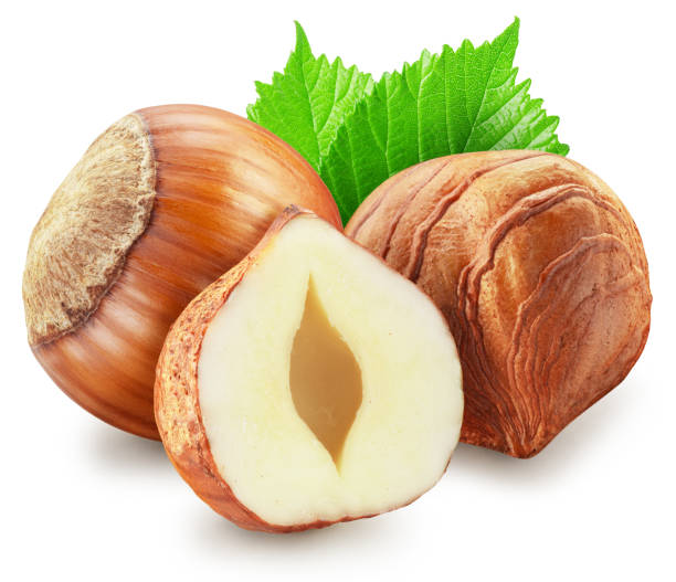 istock Hazelnuts, hazelnut kernel and green leaves on white background. Clipping path. 1576411431