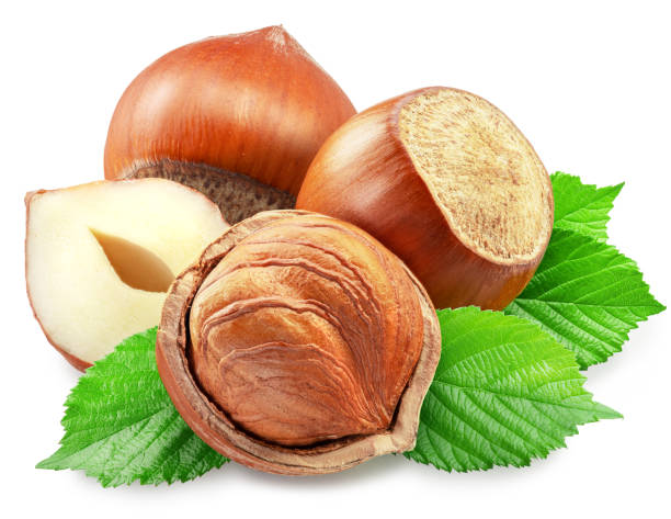 istock Hazelnuts, hazelnut kernel and green leaves on white background. Clipping path. 1576411811