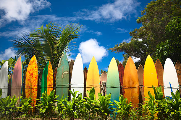 tavole da surf - isola di maui foto e immagini stock