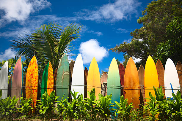 Surfboards Bunch of surfing boards on a sunny day in Maui surfboard stock pictures, royalty-free photos & images