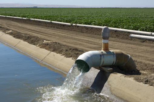 Farm irrigation water pump, pumping water into adjacent water canal, with field of cotton plants in the background