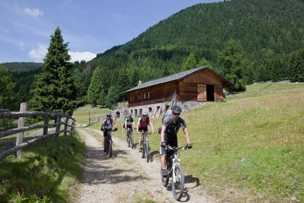 живописные альпийские �пастбище mountainbiking, южный тироль - country road fence road dolomites стоковые фото и изображения