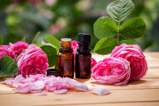 istock rose flower and essential oil. Spa and aromatherapy. 1576417828