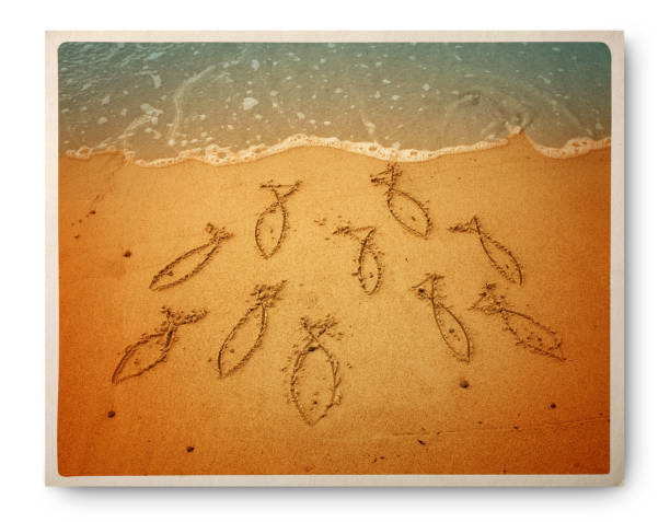 shoal de peixes deixando o mar - retro revival postcard beach dirty - fotografias e filmes do acervo