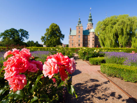 Gothenburg, Sweden - August 21, 2017: Flowering discounts in the Public Garden Society of Gothenburg in Sweden