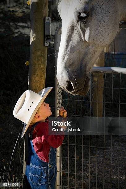 리틀 카우보이 피드 큰 말 아이에 대한 스톡 사진 및 기타 이미지 - 아이, 카우보이, 말
