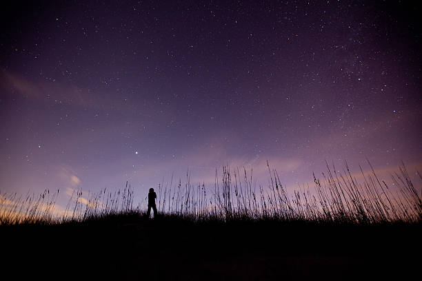 solitario figura contempla el cielo estrellado cielo de la noche sobre transparente - cumberland island fotografías e imágenes de stock