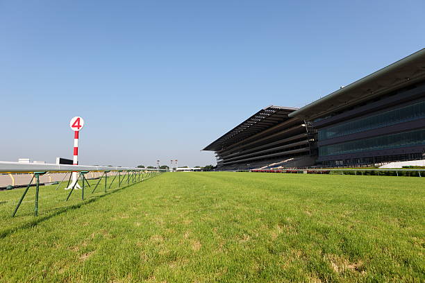 pista de corridas de cavalos - flat racing imagens e fotografias de stock