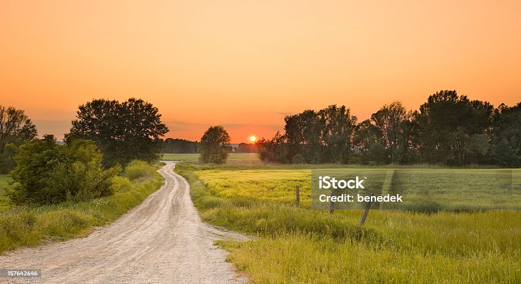 小麦のフィールド道路からの夕暮れ - オレンジ色のロイヤリティフリーストックフォト