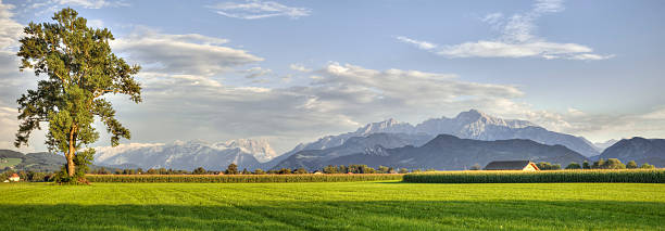 Farm in the Alps in the last light of day. 