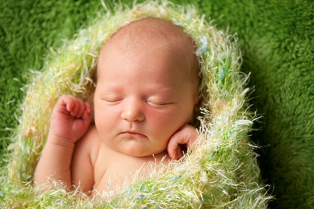 istock Newborn Baby Sleeping Peacefully in Furry Blanket 157643318