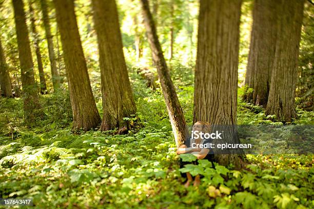 편안하고 아름다운 젊은 여자의 장려 네이쳐향 삼림에 대한 스톡 사진 및 기타 이미지 - 삼림, 여름, 여자