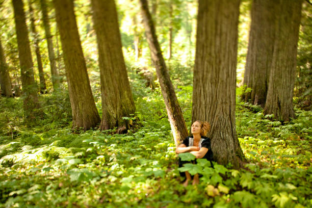 bela jovem relaxante e apreciação natureza - cedar tree tree montana woods imagens e fotografias de stock