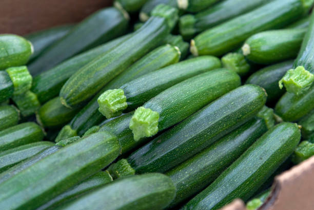 유기 쥬키니, 야채면, 농산물 직판장: 건강한 음식을 배경 - zucchini vegetable food crate 뉴스 사진 이미지