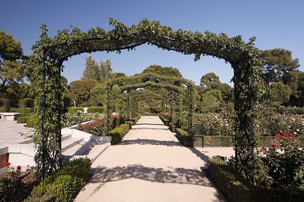 botanical landscape