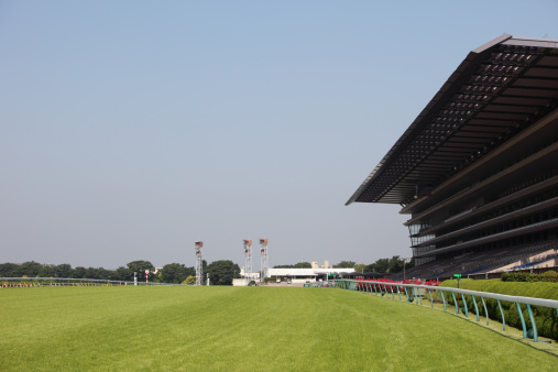 Horse racing track with turf track.