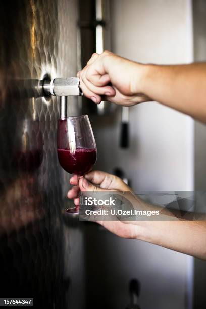 Tasting Some Wine Stock Photo - Download Image Now - Adult, Agriculture, Blue-collar Worker