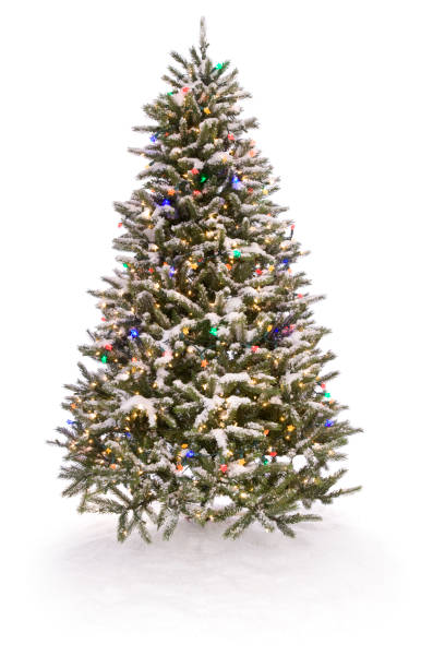 크리스마스 트리 - artificial tree 뉴스 사진 이미지
