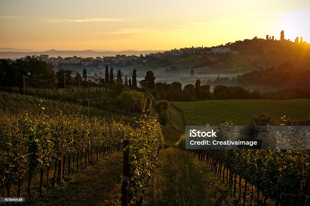 Paysage en Toscane - Photo de Agriculture libre de droits