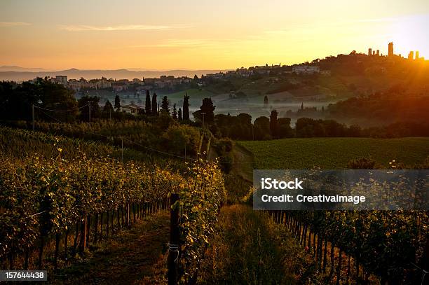 Toscana Paesaggio - Fotografie stock e altre immagini di Agricoltura - Agricoltura, Alba - Crepuscolo, Albero