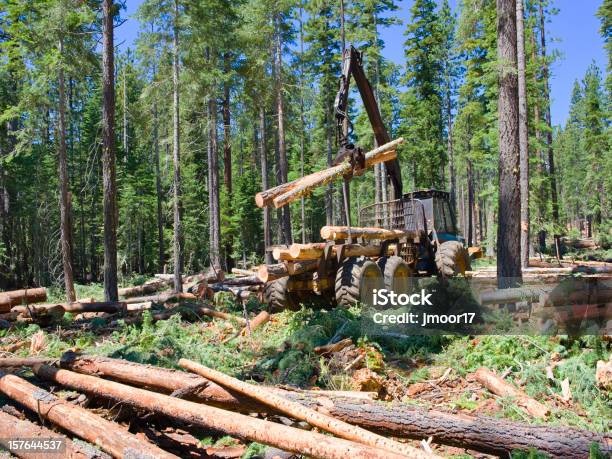 Foto de Login Carregando e mais fotos de stock de Tronco - Parte de planta - Tronco - Parte de planta, Floresta, Madeira de construção