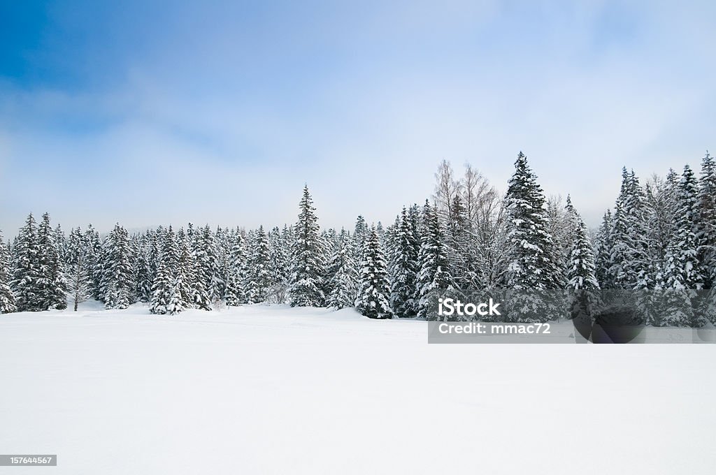 Paisaje de invierno con nieve y árboles - Foto de stock de Árbol libre de derechos